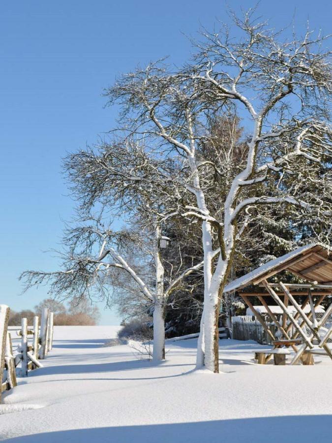 Feriengut Dietzsch Lägenhet Poritzsch Exteriör bild